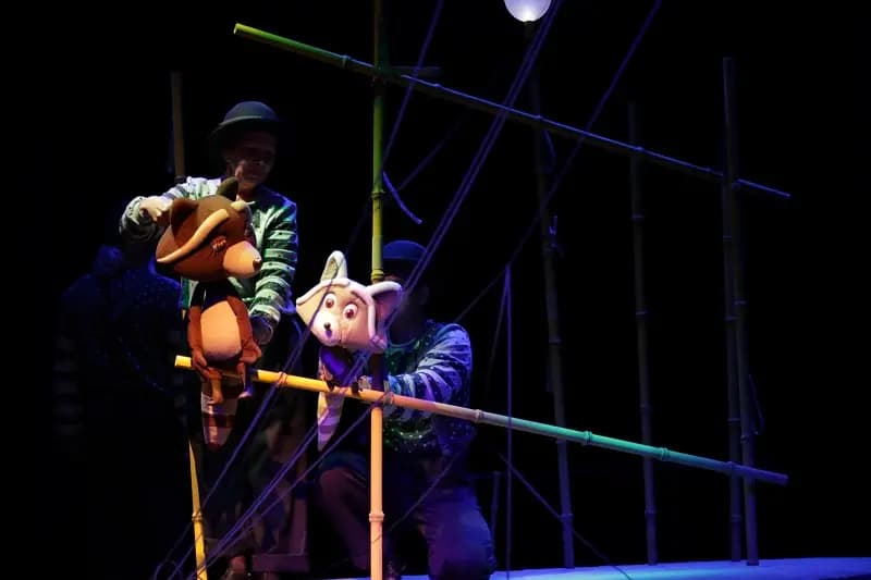 Крошка Енот (Театр кукол Кузбасса им. Аркадия Гайдара)