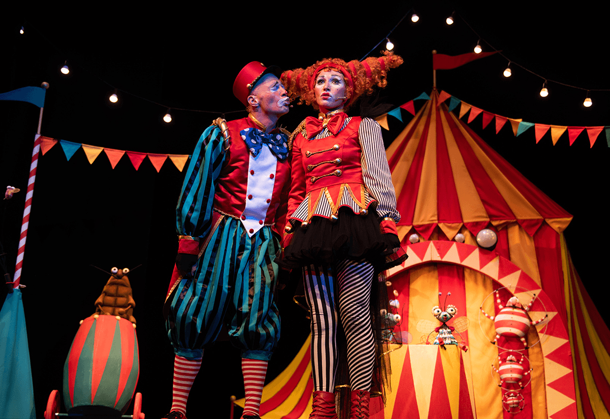 Муха-Цокотуха (Исторический парк «Россия — Моя история»)