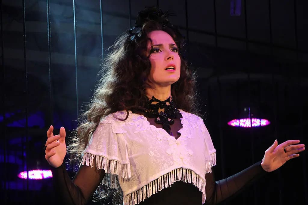 Актриса. История мистической любви (Бенефис)