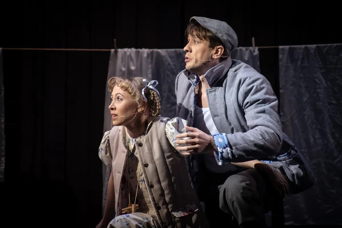 Любовь и голуби (Музыкальный театр)