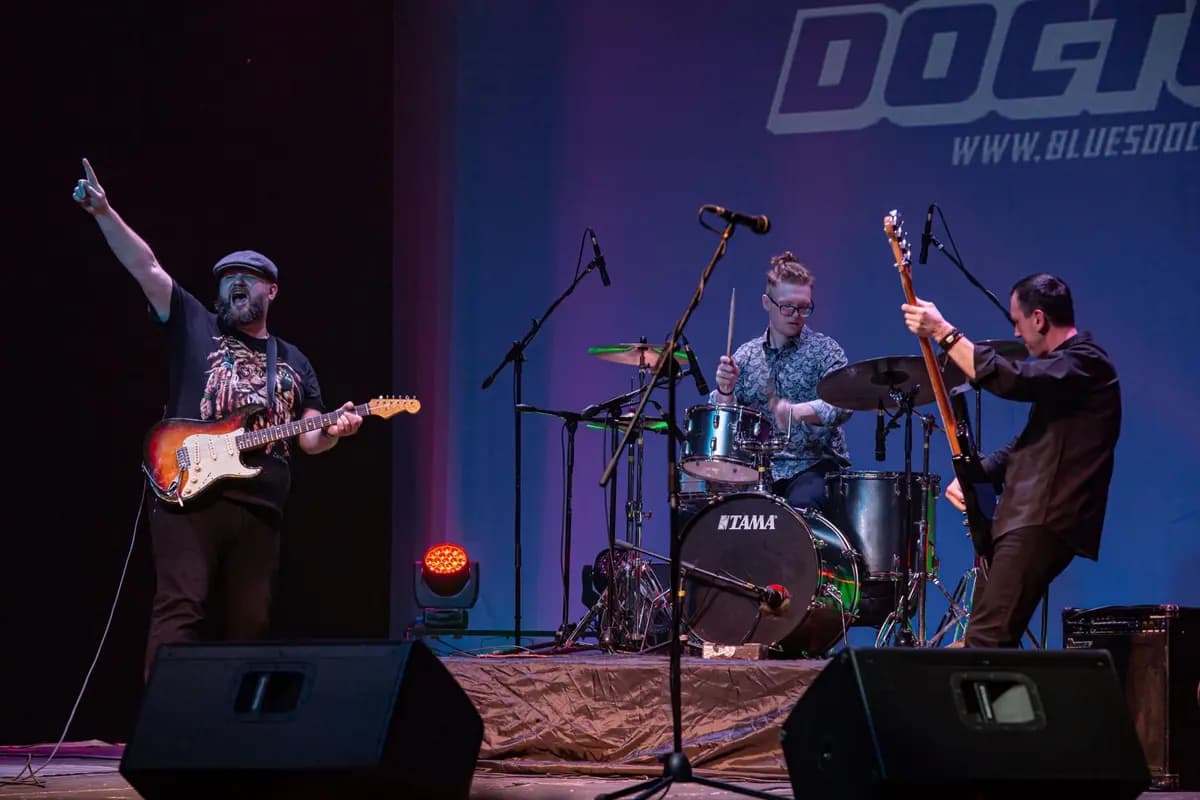 Blues Doctors. Блюз-рок (EverJazz)