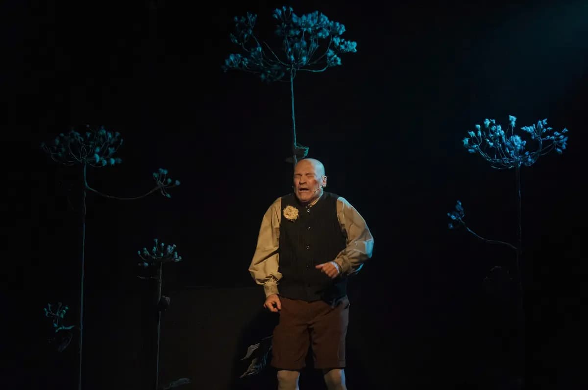 Детство (Театр юного зрителя)