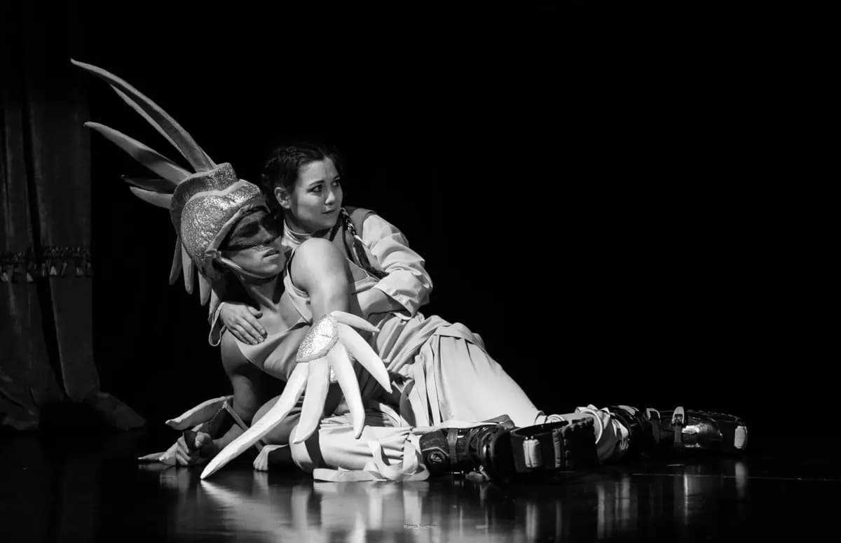 Песня дивной птицы (ТЮЗ им. Кариева)