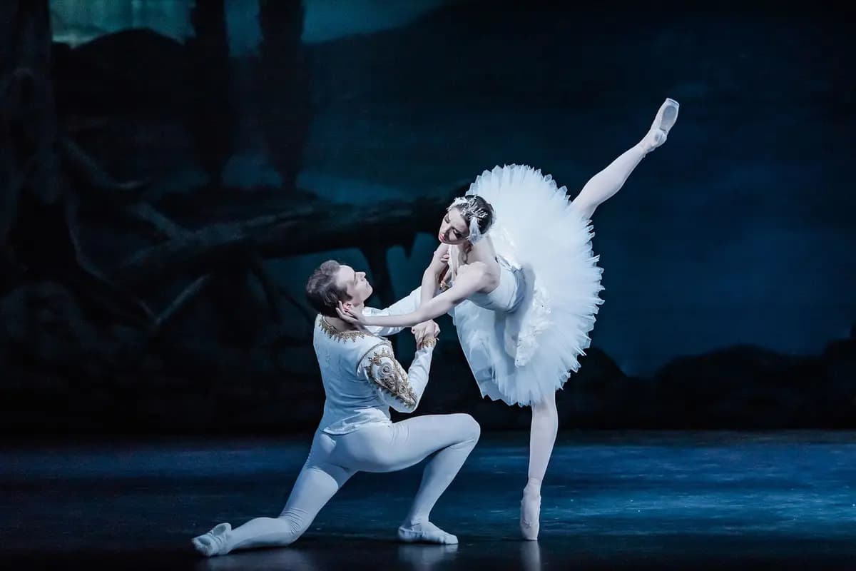 Чайковский балет-гала. Великие па-де-де (Дом музыки)