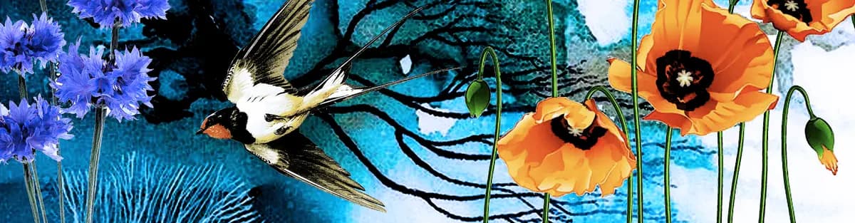 Времена года (Театр оперы и балета)