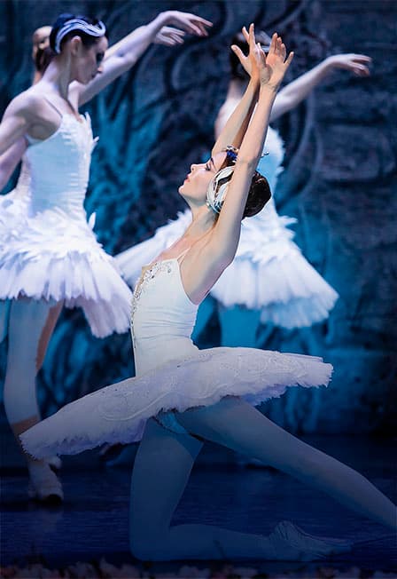 Лебединое озеро