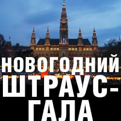 Новогодний Штраус Гала