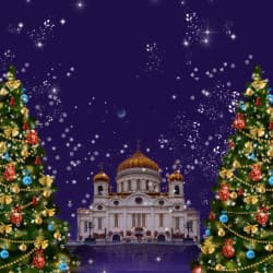 Орган Christmas