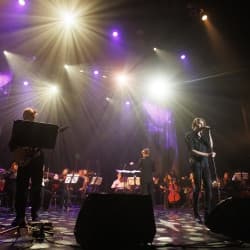 Хиты Sting с симфоническим оркестром «Desert rose symphony»