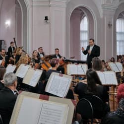 Шведский стол