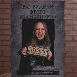 Мир Гарри Поттера