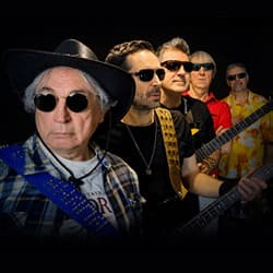 Группа «Vinyl Great Band»