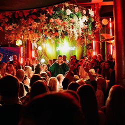 Festival Wonderland