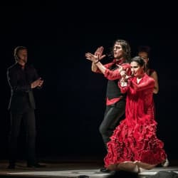 Flamenco Capriccios. Фламенко Каприччио