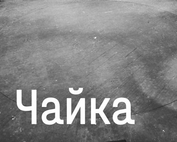 Чайка