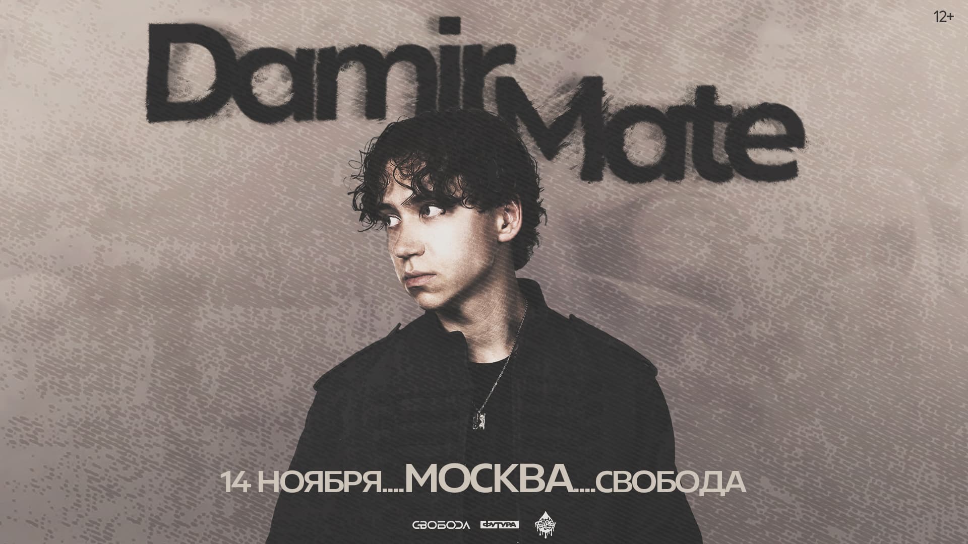 Damir Mate